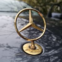 Mercedes Stern Gold